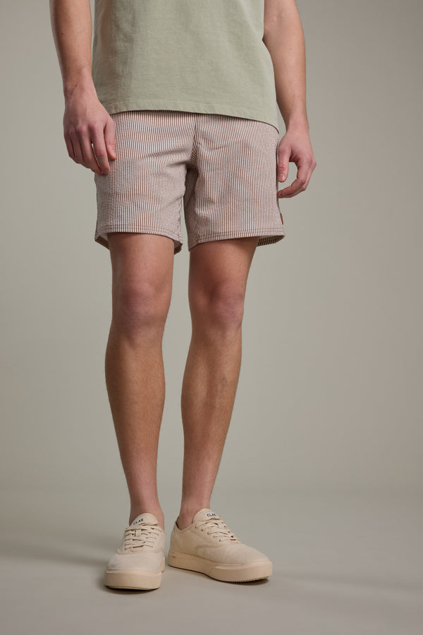 A person stands against a neutral background, wearing Barkers' Dehaven Stripe Volley shorts in light pink and white seersucker stripes. Only their legs and torso are visible, with hands relaxed by their sides.