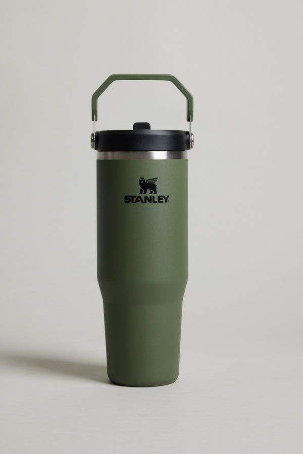 Stanley The IceFlow Flip Straw Tumbler 30 OZ in green
