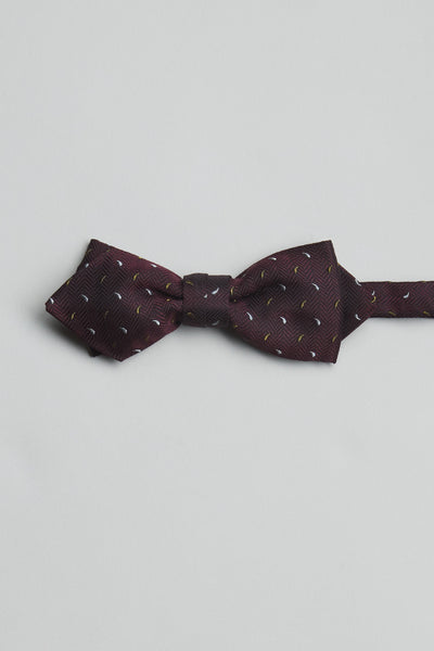 The Parisian Cameron Feather Bow Tie by Parisian features a dark burgundy hue with a subtle herringbone pattern and multicolored embroidered dots. Handmade in New Zealand, it's shown on a light gray background.
