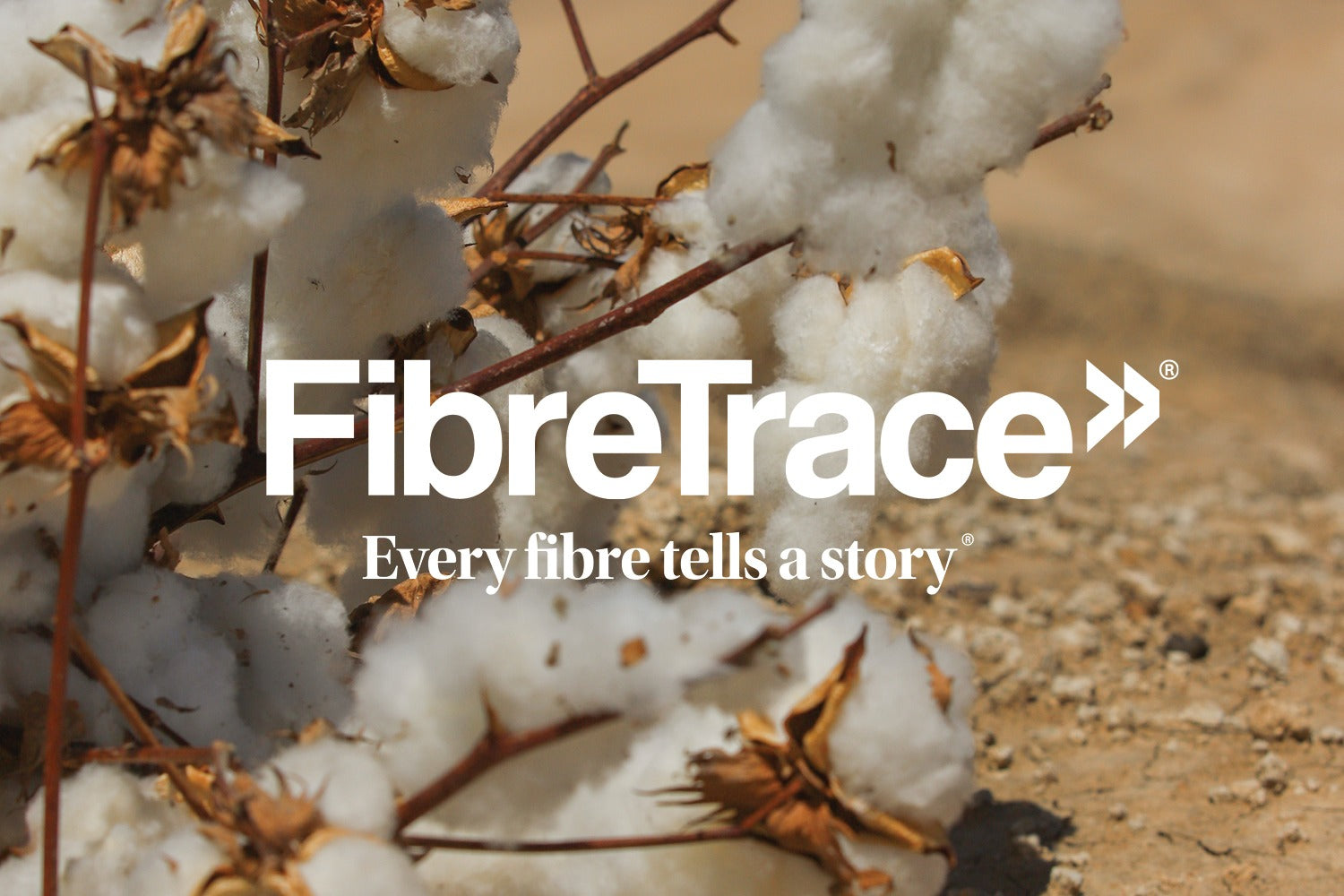 Close-up of raw cotton plants outdoors with the text FibreTrace® Every fibre tells a story overlaid in white bold letters across the image.