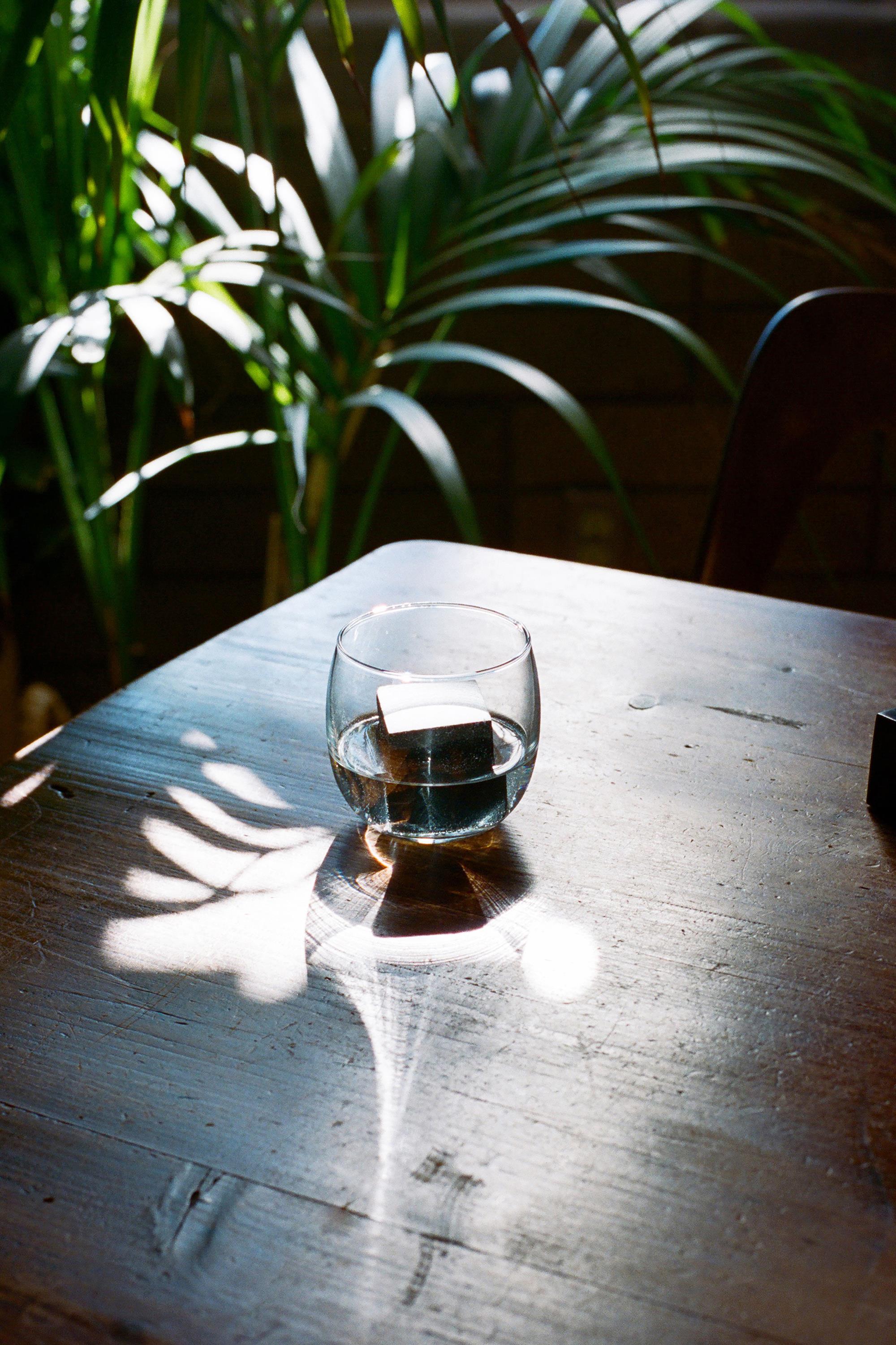 An Areaware Drink Rock chills a glass of water on a wooden table as sunlight filters through leafy plants, casting intricate shadows and patterns across the surface.