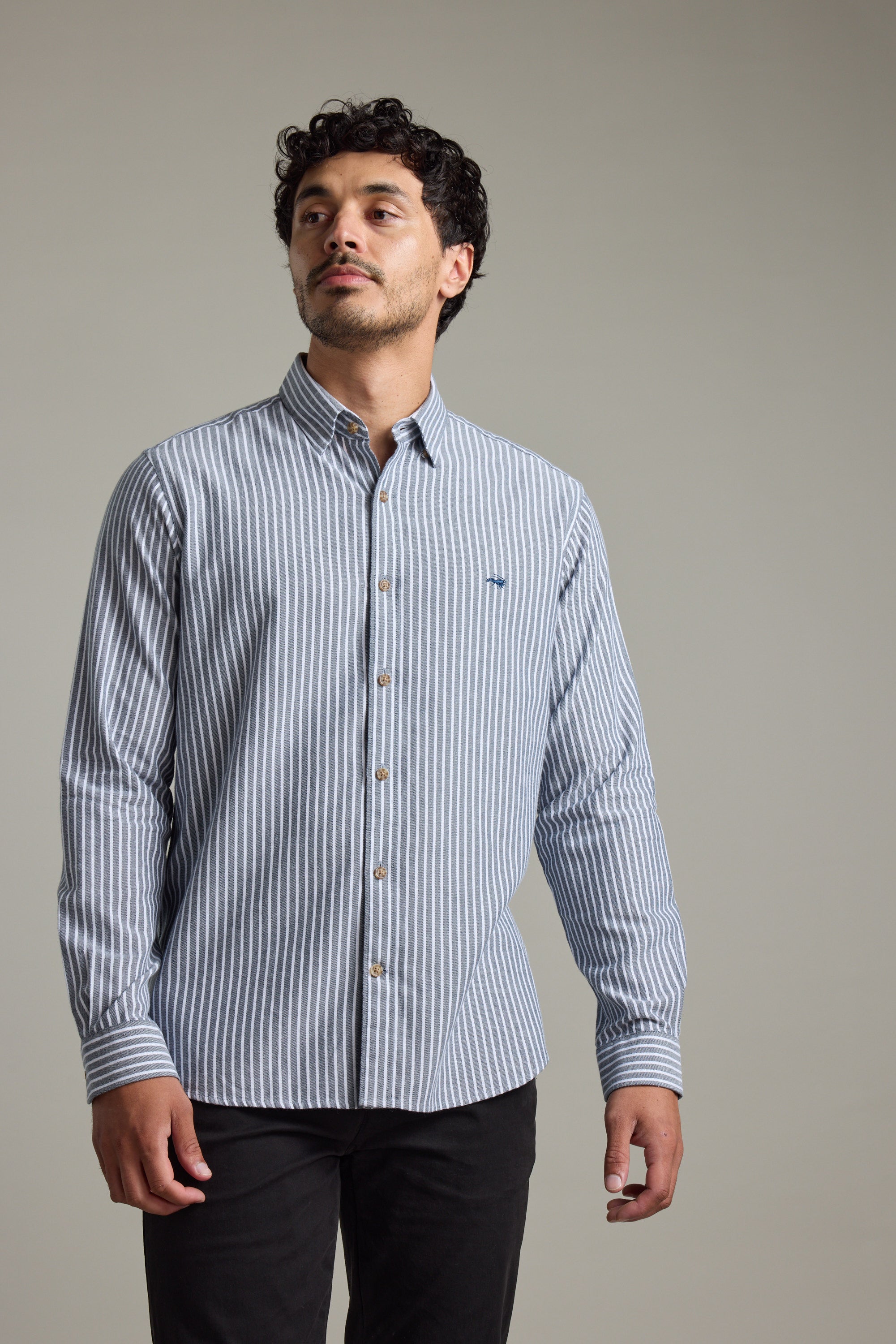 Shop Hudson Stripe Shirt C (BLUE) | Barkers