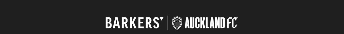 BMC_AFC_Landing_Page_02