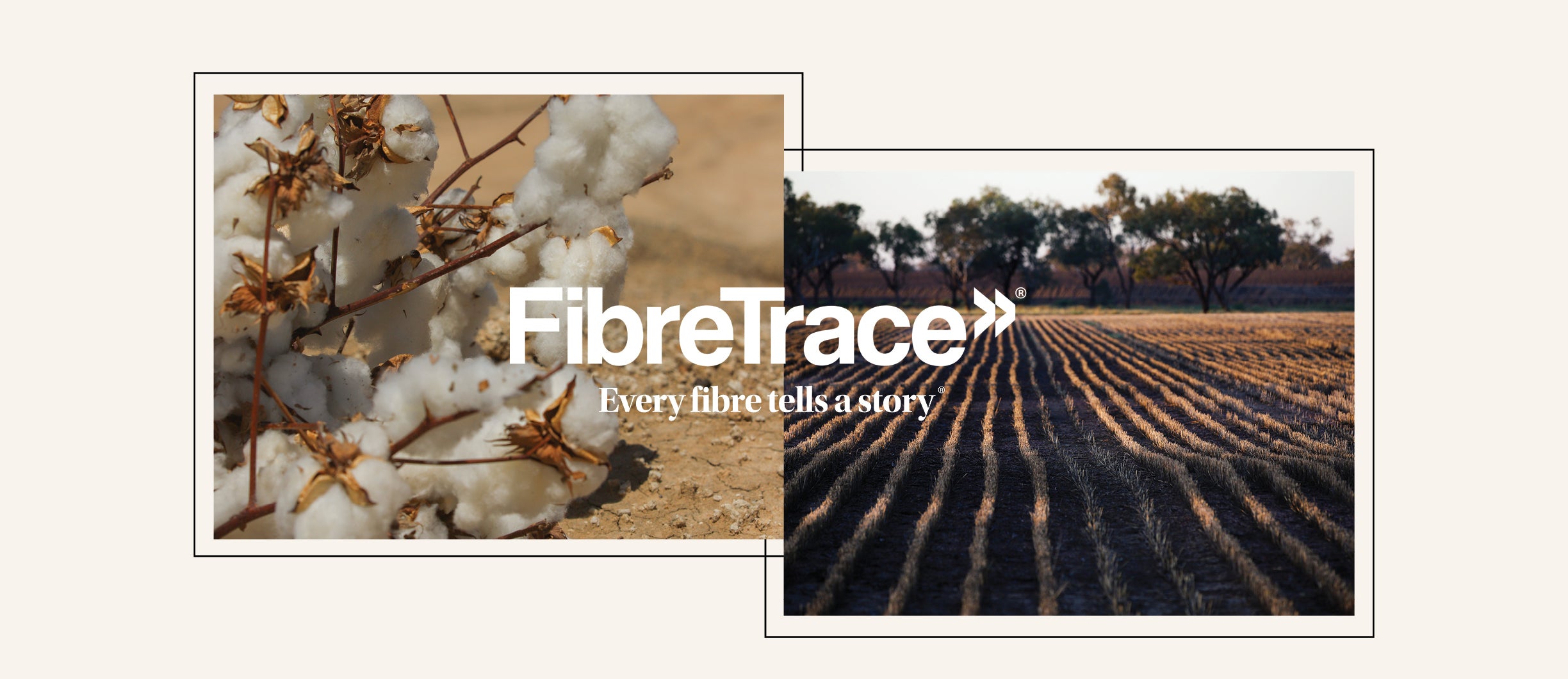 BMC_Good_Earth_Cotton_Landing-Page_09_757c2b18-84b3-4680-99fe-d3bf7e99d996