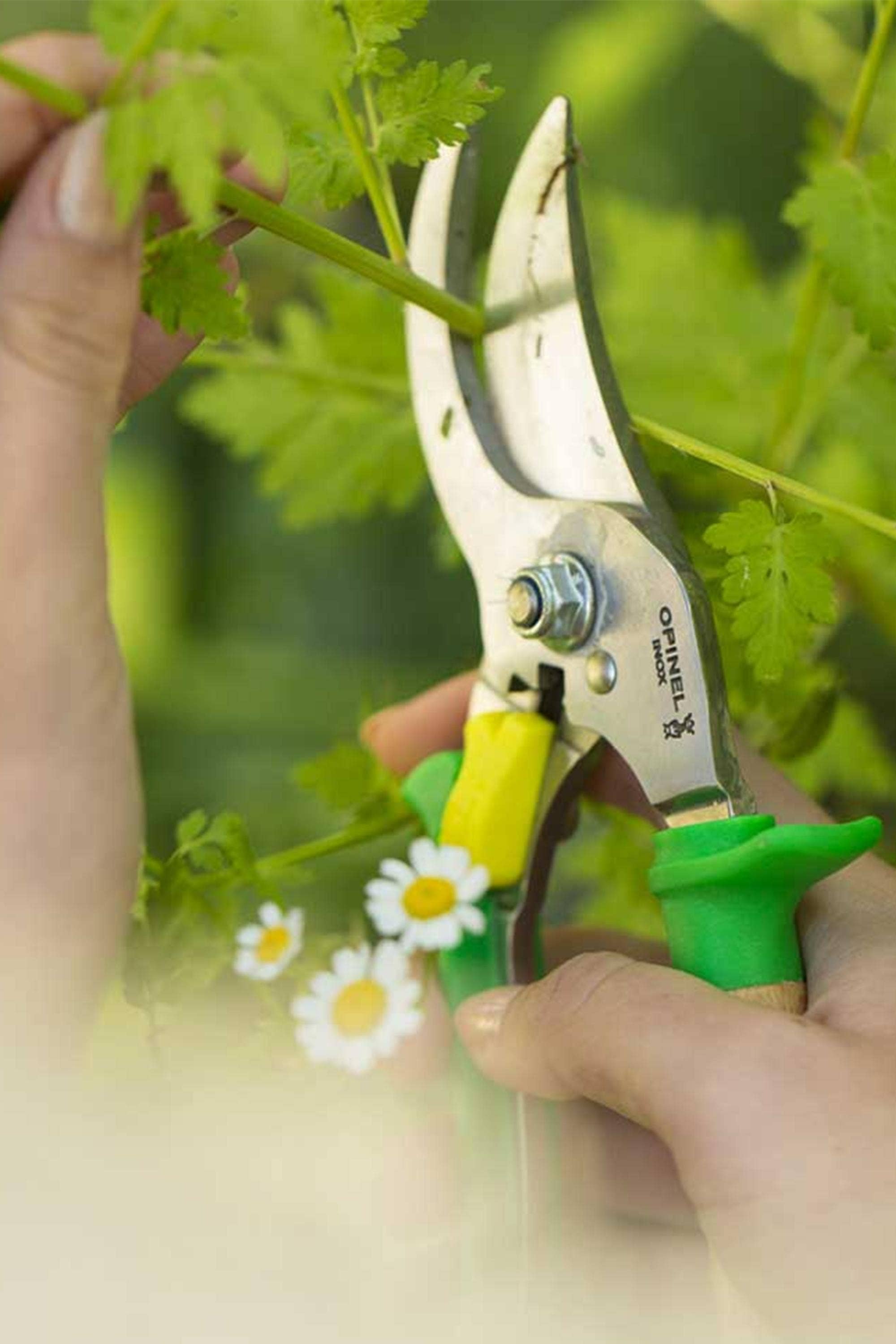 Opinel hand deals pruning shears