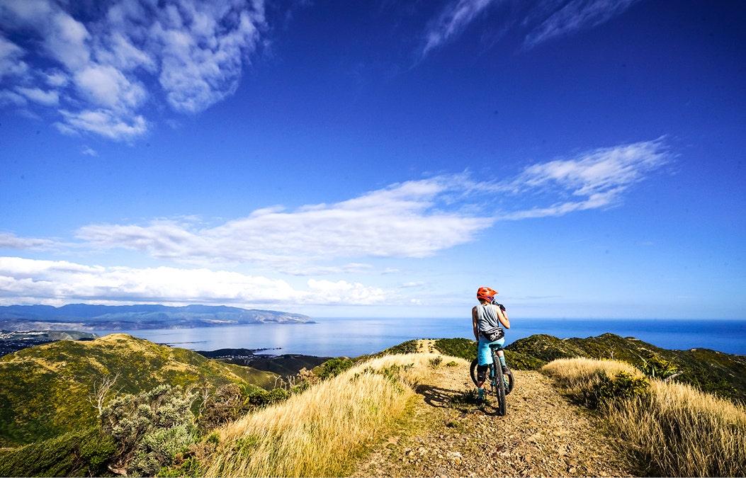 Eight Great New Zealand Bike Rides to Dominate