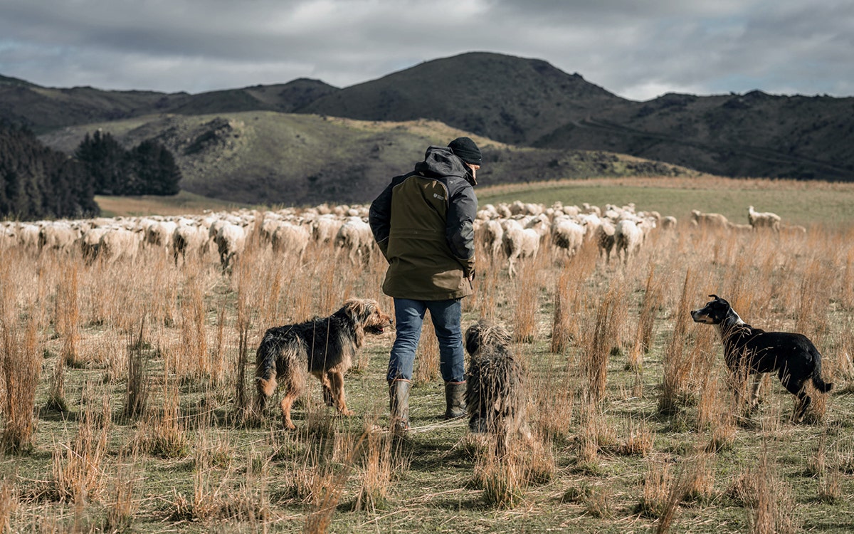 Paddock To Pitch | Meet Jimmy and Penny Butters